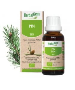 Mountain Pine (Pinus Montana) bg BIO, 15 ml